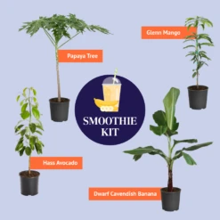 Smoothie Kit -RootedLife Shop BB SmoothieKitGraphic