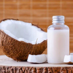 Coconut Palm Tree -RootedLife Shop Coconut Palm 8 B