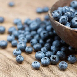 Emerald Blueberry Bush 7 Emerald Blueberry Bush -RootedLife Shop Emerald Blueberries 1