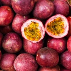 Nancy Garrison Passion Fruit Vine 9 Nancy Garrison Passion Fruit Vine -RootedLife Shop Nancy Garrison Passion Fruit Vine 4 BB