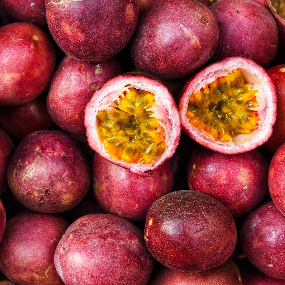 Nancy Garrison Passion Fruit Vine 6 Nancy Garrison Passion Fruit Vine - Image 4