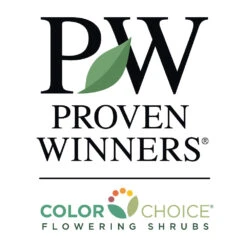 Let's Dance Blue Jangles Hydrangea Shrub -RootedLife Shop PW Logo CC 1000x1000 dc741158 e891 4045 826a 5c496bd54a9b