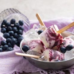 Powderblue Blueberry Bush 13 Powderblue Blueberry Bush -RootedLife Shop Powderblue BLueberry 5