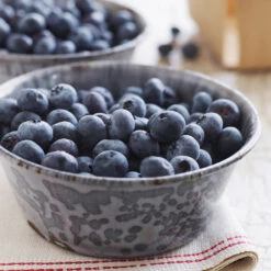 Sweetheart Blueberry Bush 10 Sweetheart Blueberry Bush -RootedLife Shop Sweetheart BLueberry 4