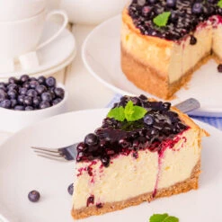 Sweetheart Blueberry Bush 13 Sweetheart Blueberry Bush -RootedLife Shop Sweetheart BLueberry 5